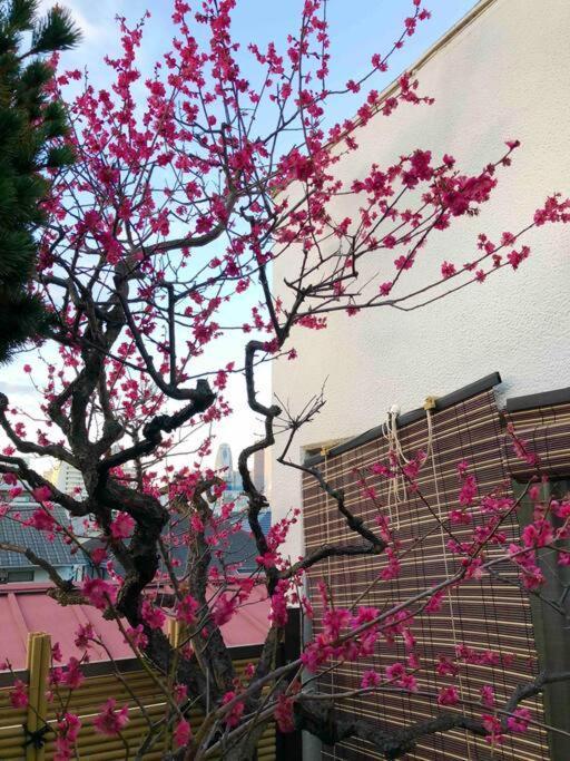 新宿新大久保駅日本和の宿 Tokyo prefektur Exteriör bild
